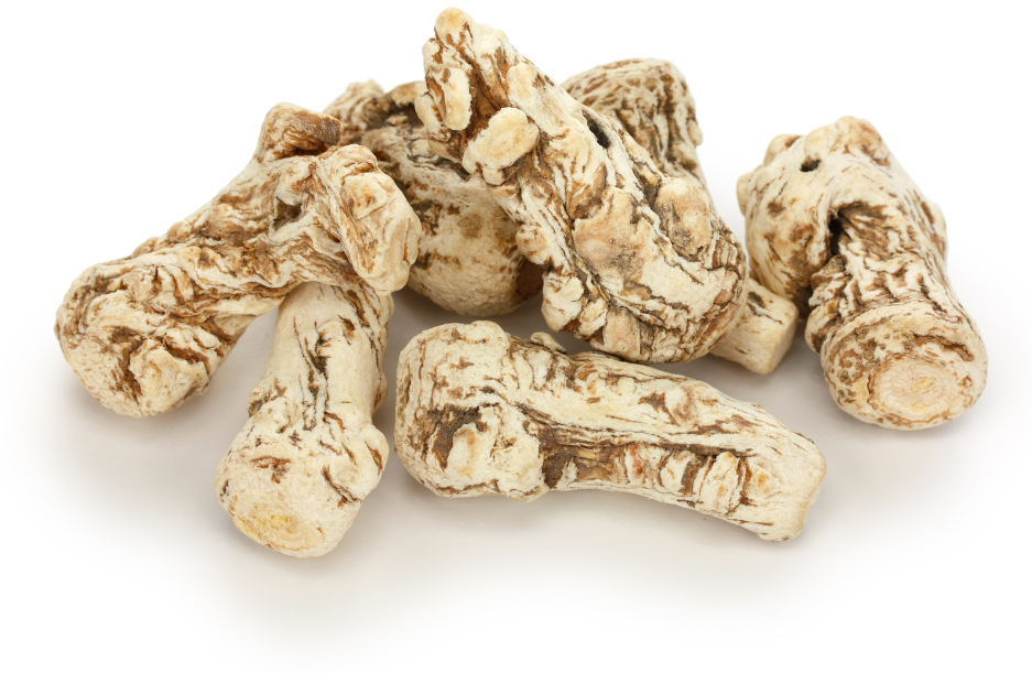 andělika čínská kořen